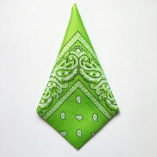 Carica l&#39;immagine nel visualizzatore di Gallery, Classic Bandanna