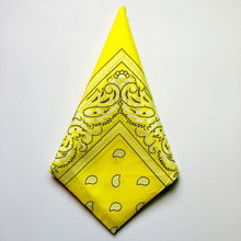 Carica l&#39;immagine nel visualizzatore di Gallery, Classic Bandanna